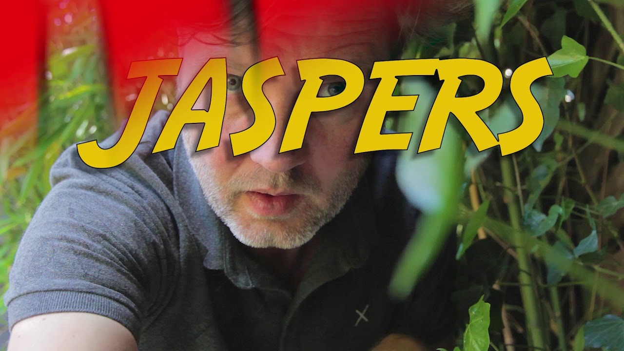Jaspers Real Life Teaser